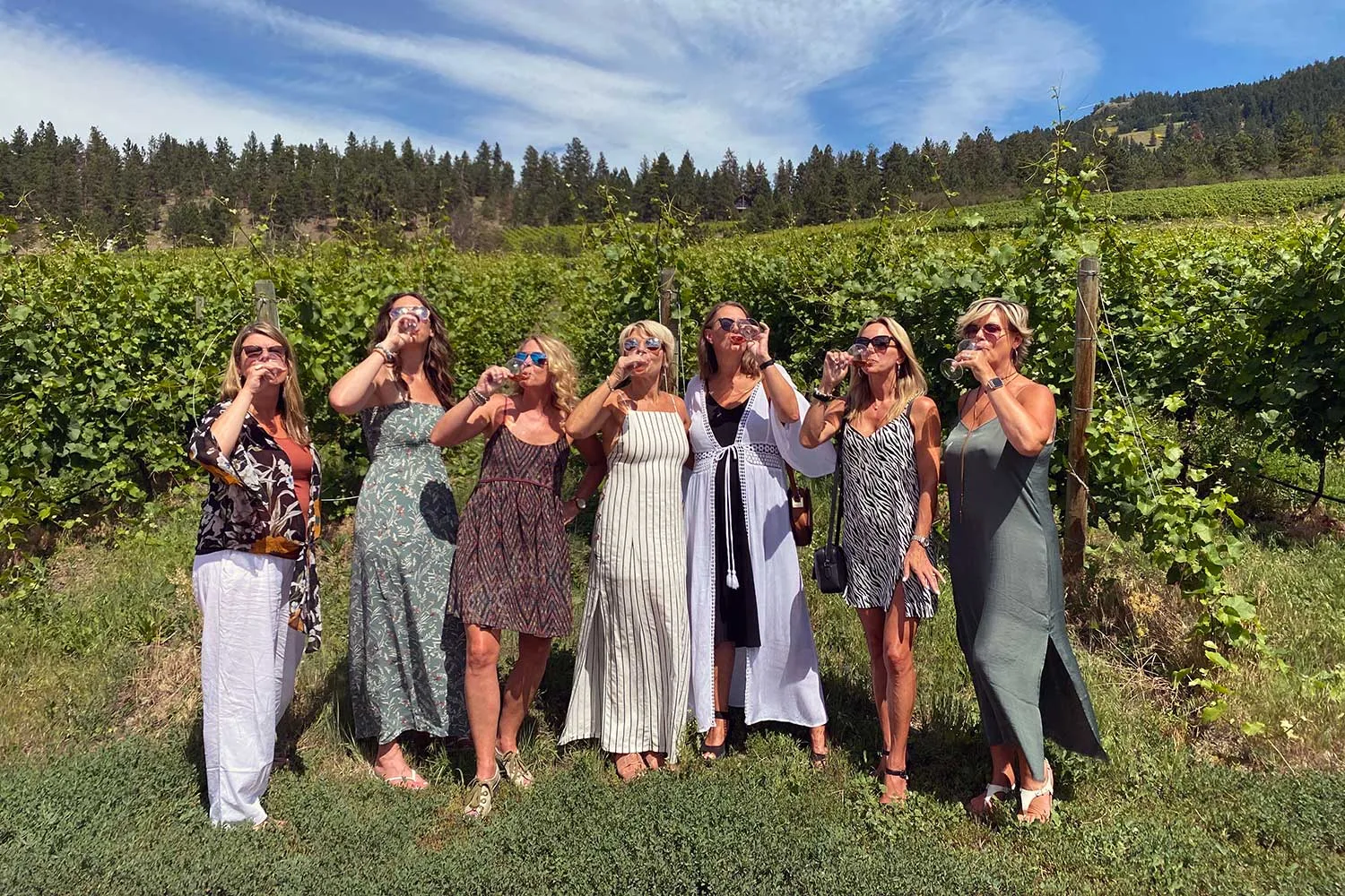 Lake Country Wine Tour photo 2