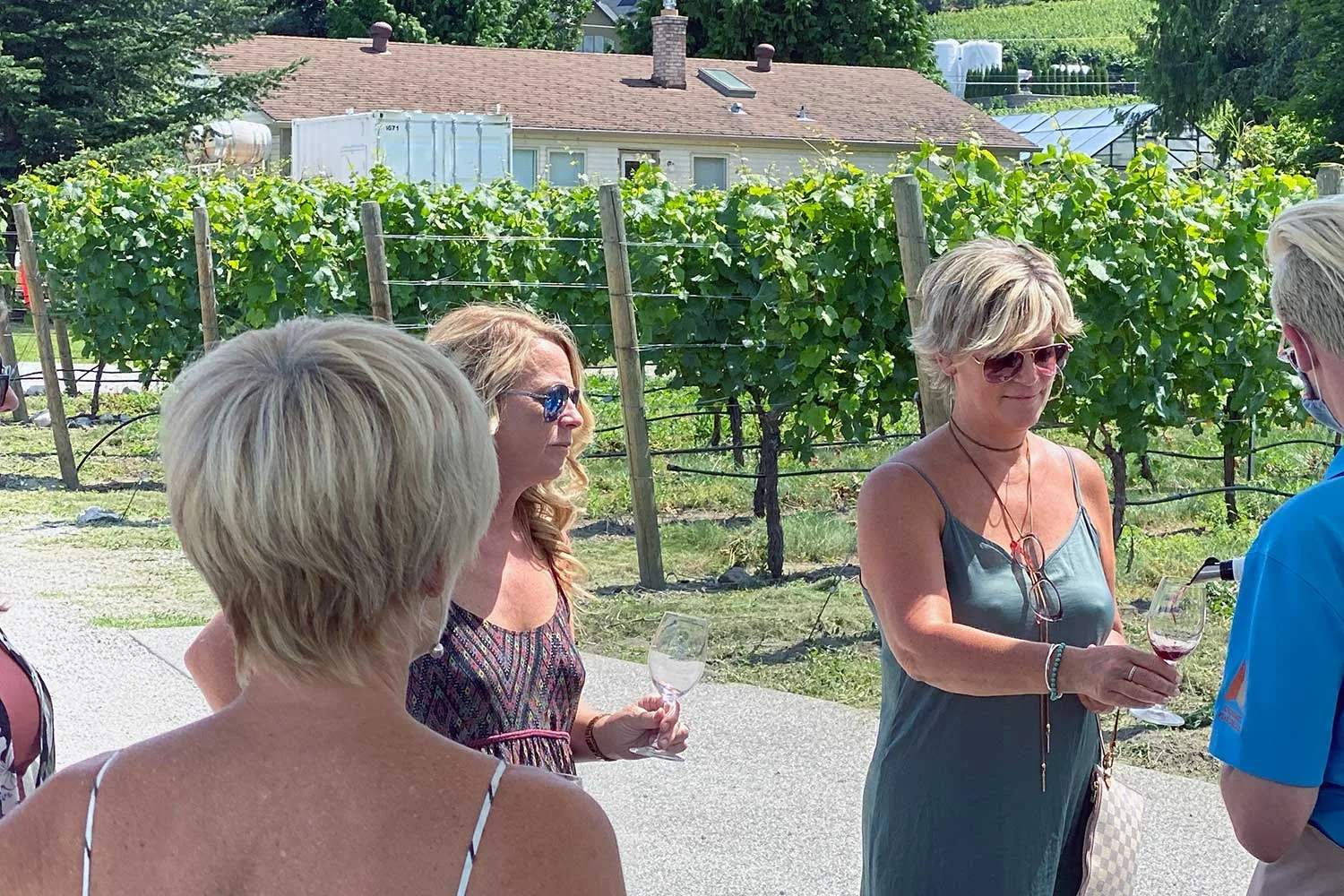 Lake Country Wine Tour photo 4
