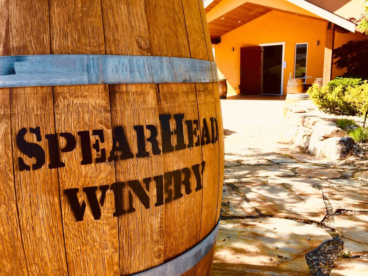 Lakeshore Wine Tour photo 2