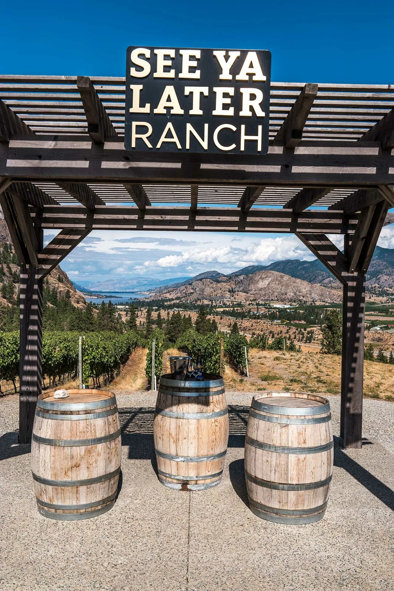 Okanagan Falls Wine Tour photo 2