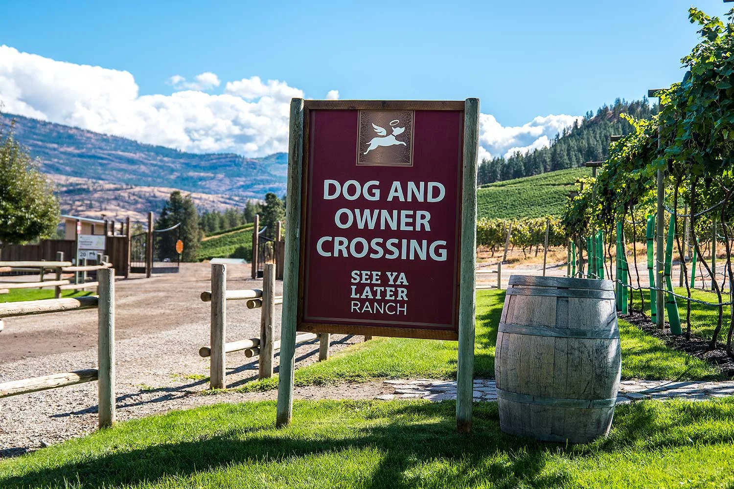 Okanagan Falls Wine Tour photo 3