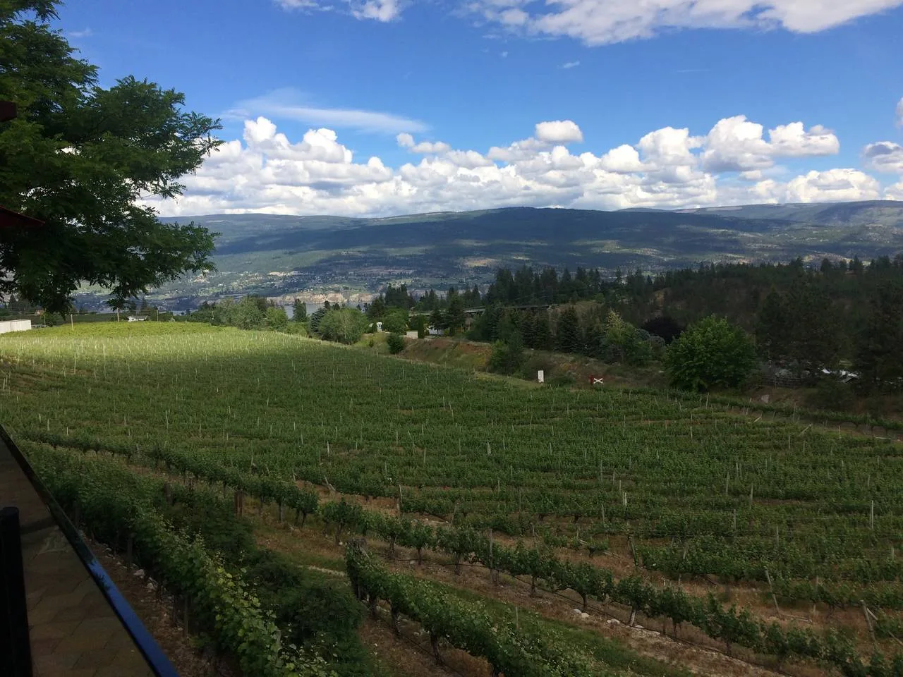 Summerland Wine Tour photo 2