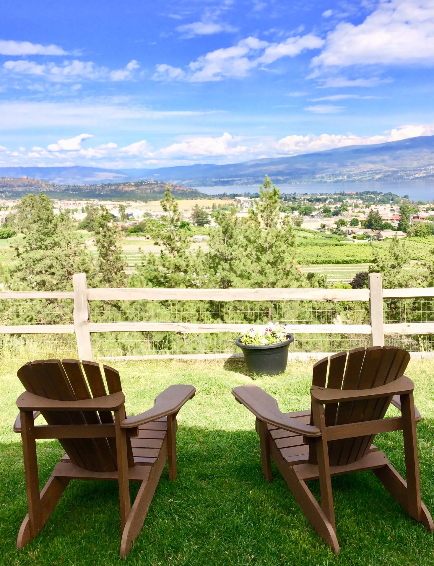 Westside Wine Tour photo 4